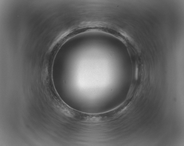 X0000082161261200701191232