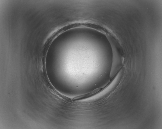 X0000082161262200701191232