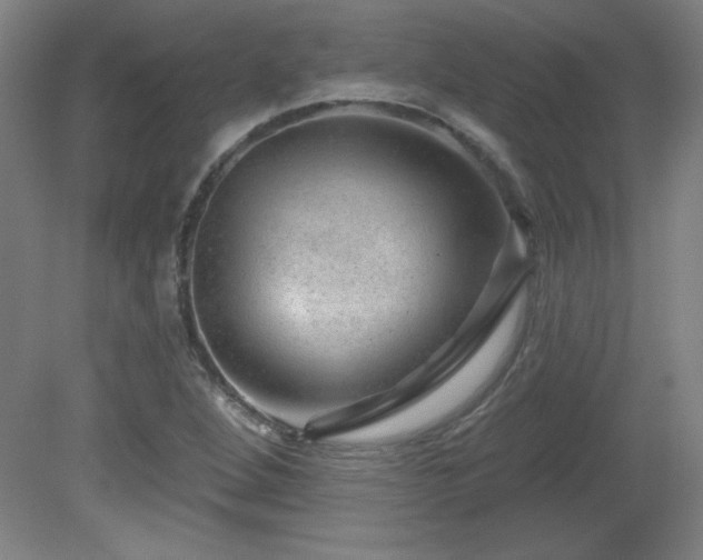 X0000082161264200701191232