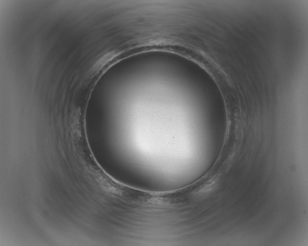 X0000082161265200701191232