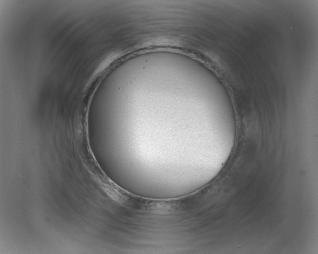 X0000082161266200701191232