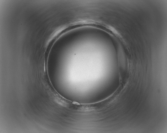 X0000082161269200701191232
