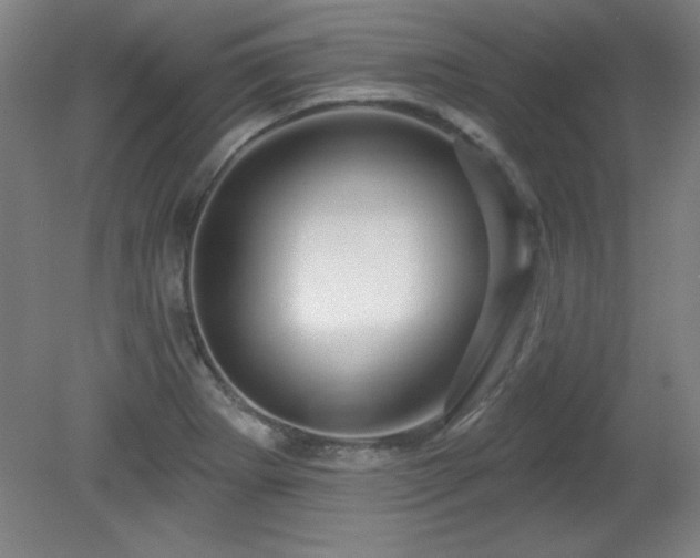 X0000082161273200701191232
