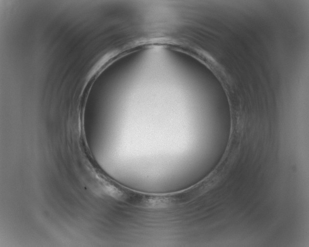 X0000082161274200701191232
