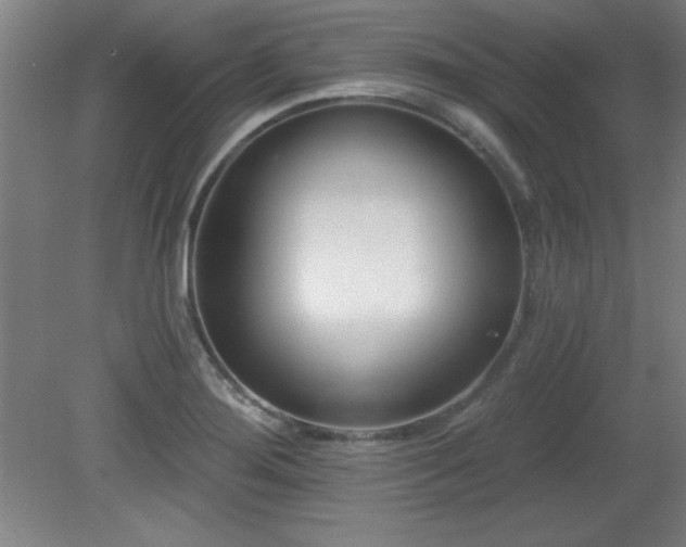 X0000082161276200701191232