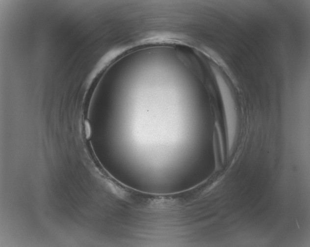 X0000082161277200701191232
