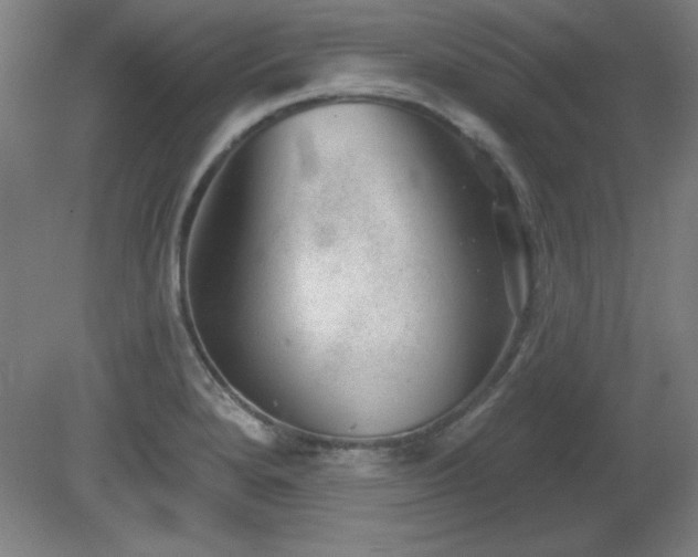 X0000082161280200701191232