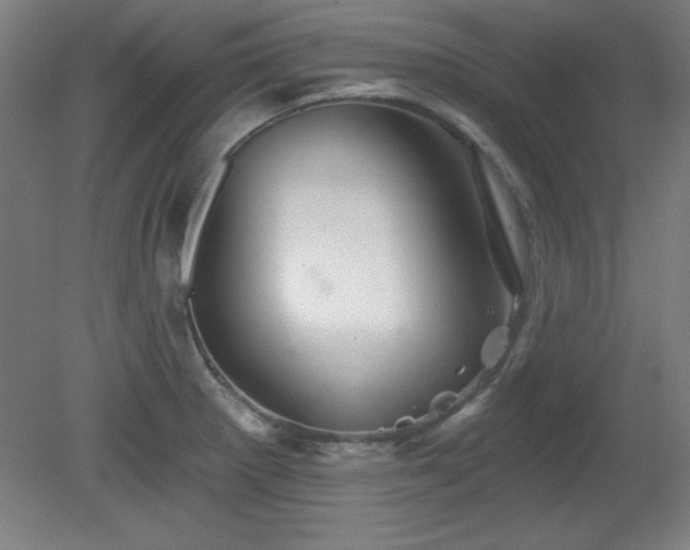 X0000082161281200701191232