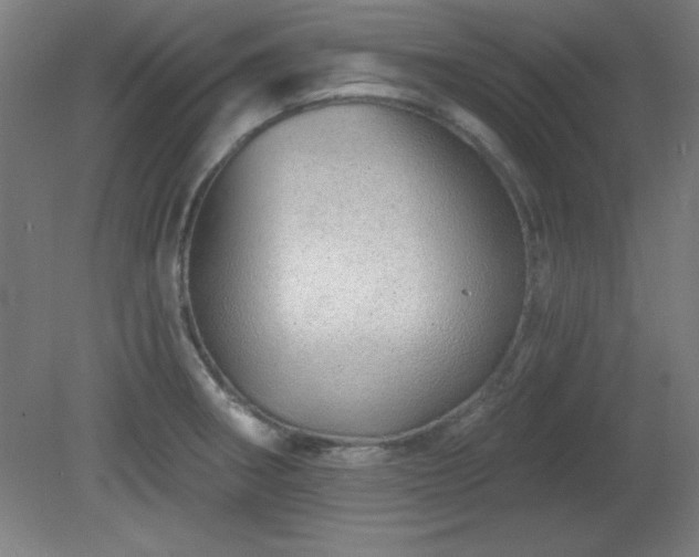 X0000082161282200701191232