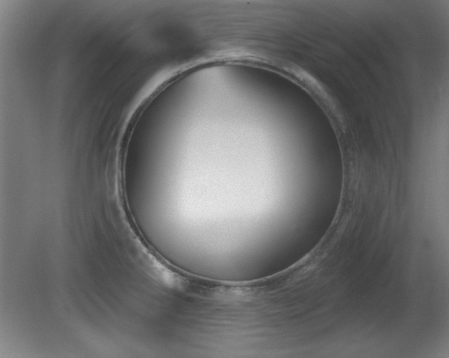 X0000082161286200701191232