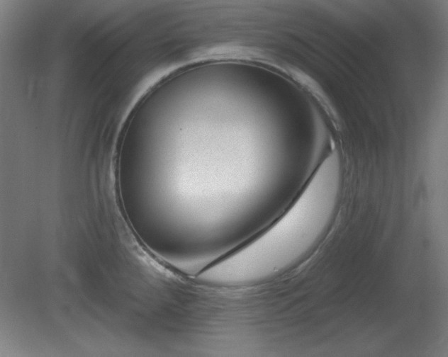 X0000082161288200701191232