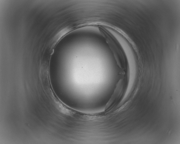 X0000082161289200701191232