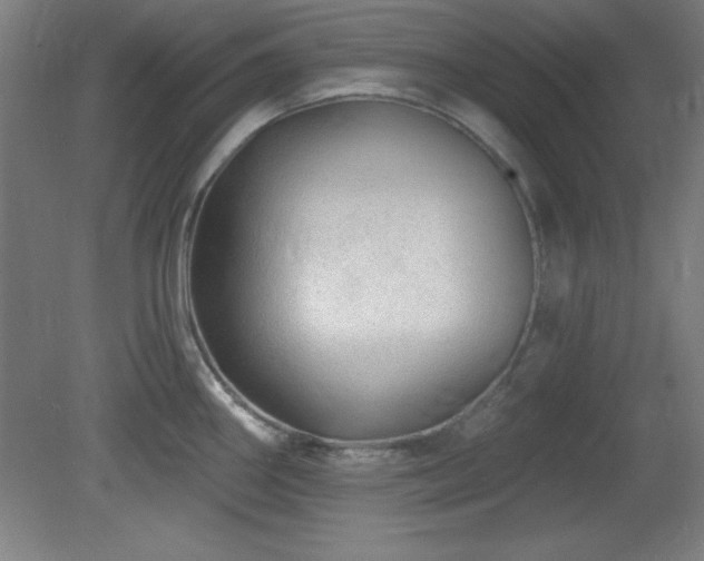 X0000082161290200701191232