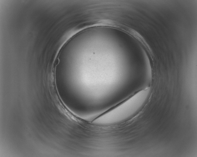 X0000082161292200701191232