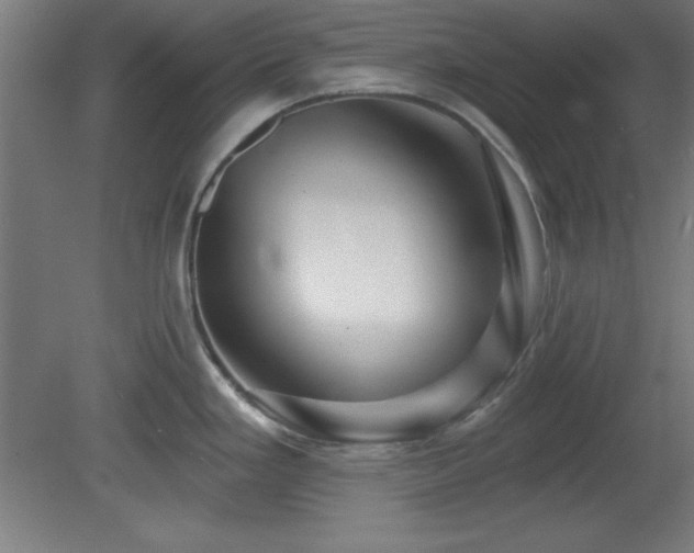 X0000082161293200701191232
