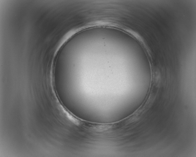 X0000082161294200701191232