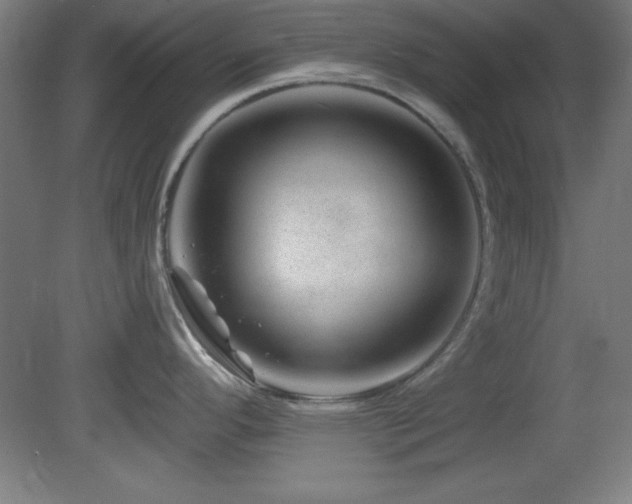 X0000082161296200701191232