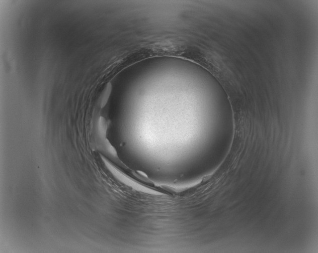 X0000082161297200701191231