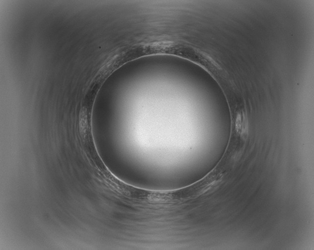 X0000082161299200701191231