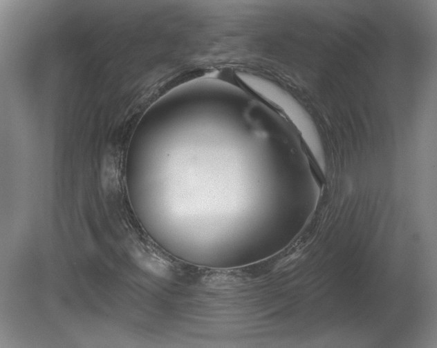 X0000082161300200701191231