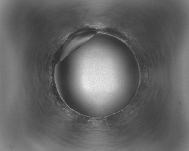 X0000082161301200701191231