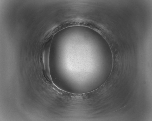 X0000082161302200701191231