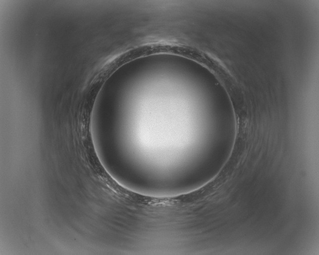 X0000082161303200701191231