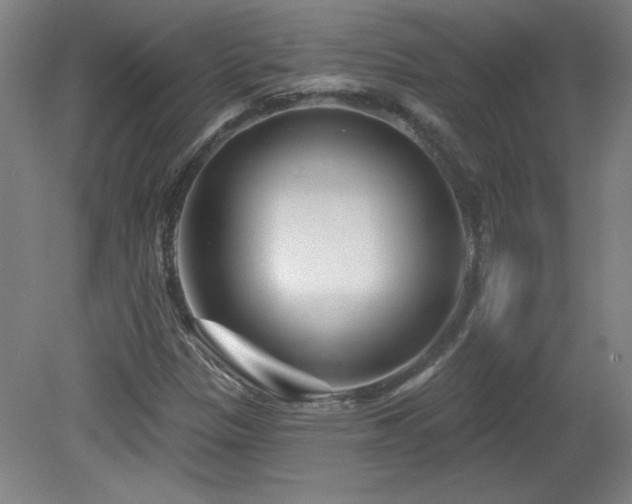 X0000082161305200701191231