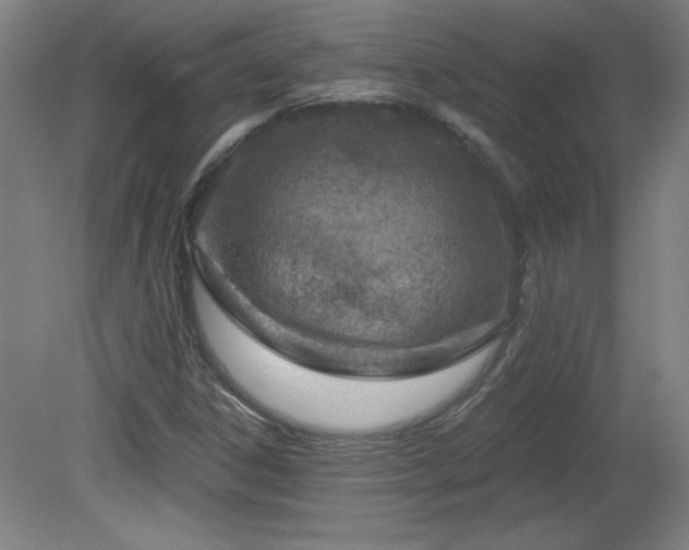 X0000082161306200701191231