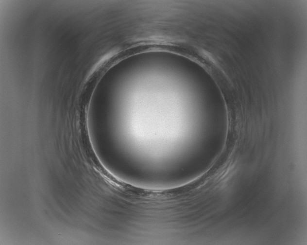 X0000082161307200701191231