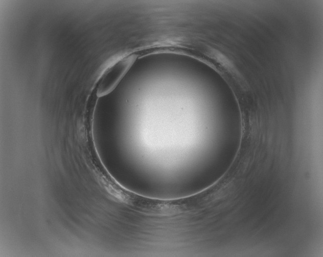 X0000082161308200701191231