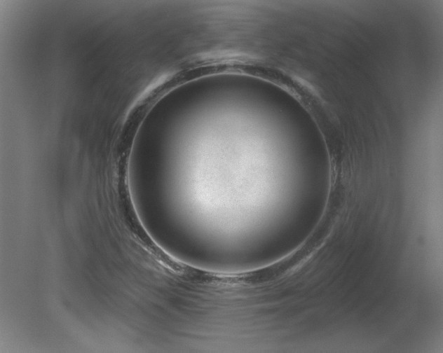 X0000082161309200701191231