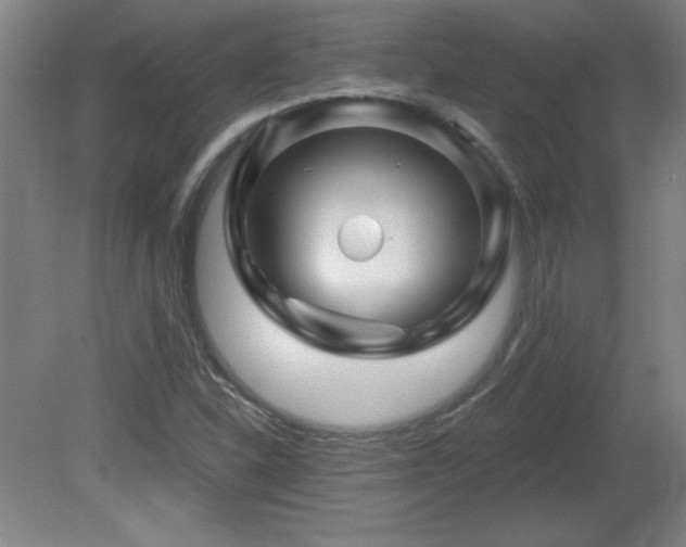 X0000082161310200701191231