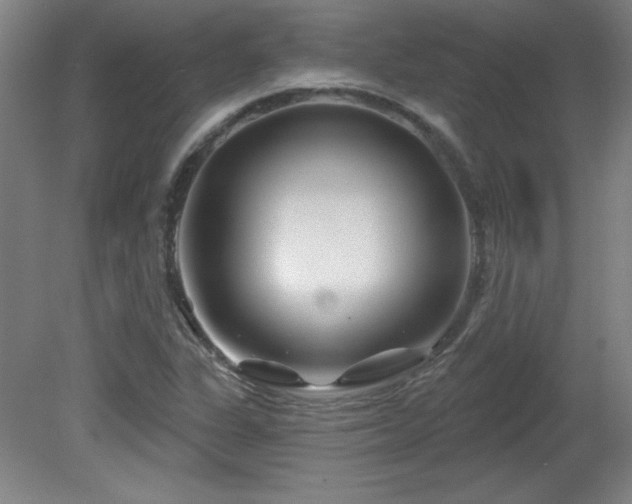 X0000082161311200701191231