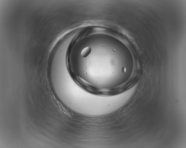 X0000082161312200701191231