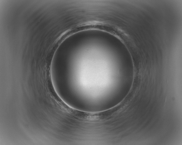 X0000082161313200701191231