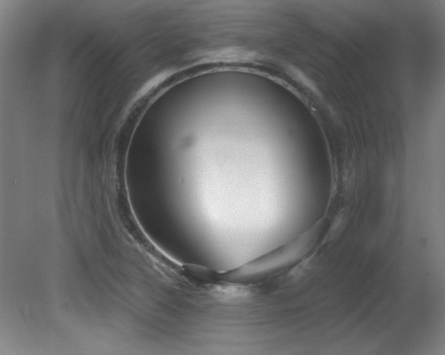 X0000082161315200701191231