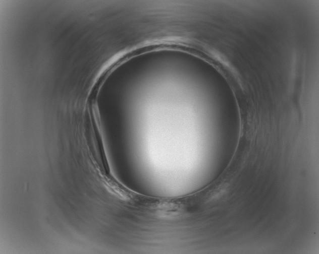 X0000082161316200701191231
