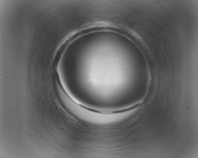 X0000082161318200701191231
