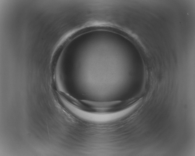 X0000082161319200701191231