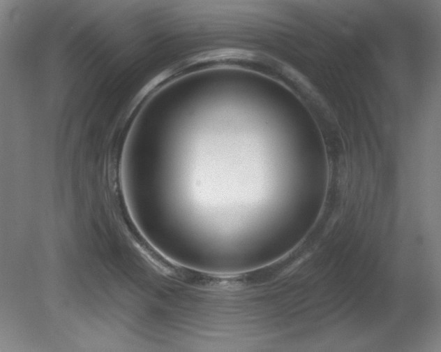 X0000082161321200701191231