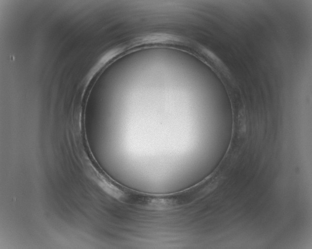 X0000082161322200701191231
