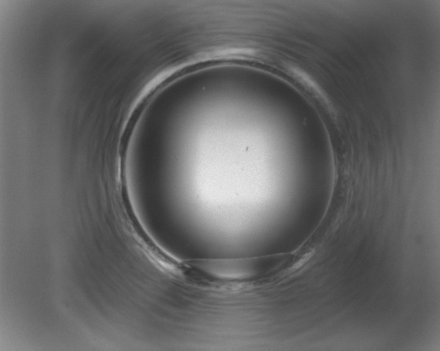 X0000082161324200701191231