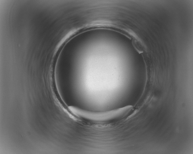 X0000082161325200701191231