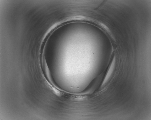 X0000082161326200701191231