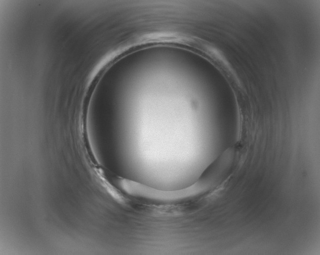 X0000082161328200701191231