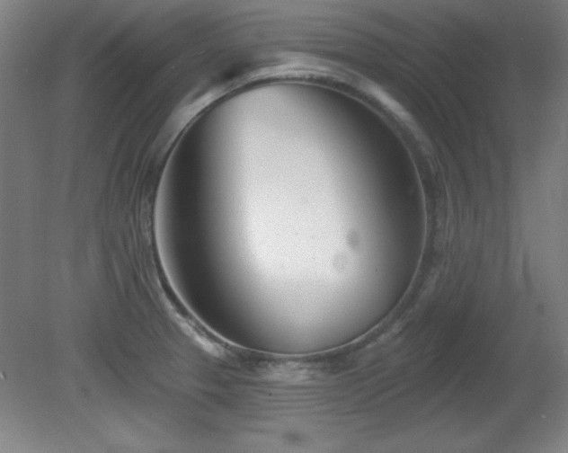 X0000082161329200701191231