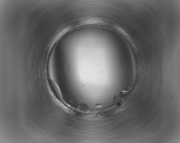 X0000082161330200701191231