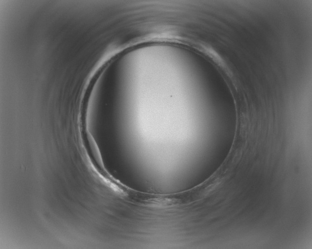 X0000082161331200701191231