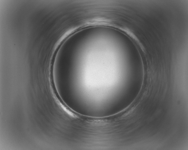 X0000082161333200701191231